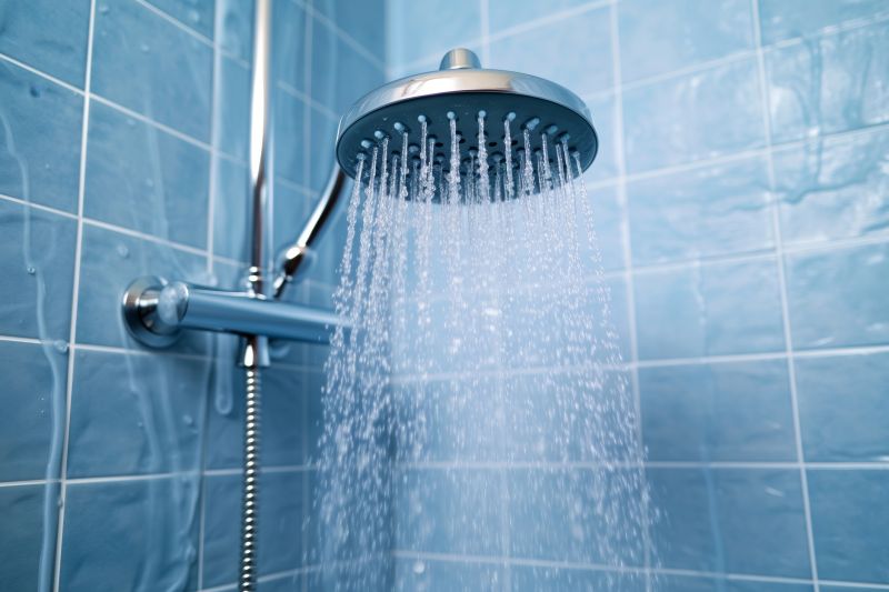 Rainfall Showerhead in a Contemporary Bathroom
